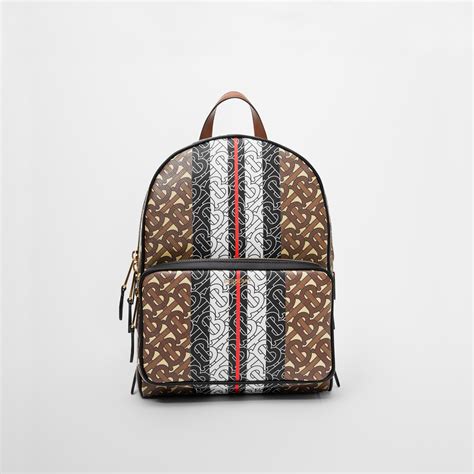 Burberry Monogram Stripe Print E